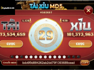 Tài xỉu MD5 typhu88